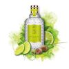 4711 ACQUA COLONIA by 4711 LIME & NUTMEG EAU DE COLOGNE SPRAY 1.7 OZ