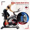 Gym Home Stationary 20 lbs Silent Belt Flywheel Exercise Bike